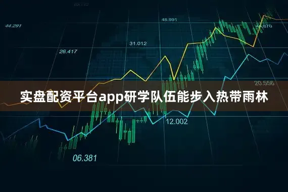 实盘配资平台app研学队伍能步入热带雨林